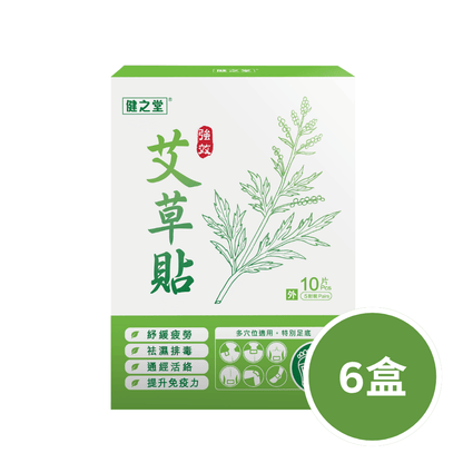 健之堂 強效艾草貼 10片裝6盒
