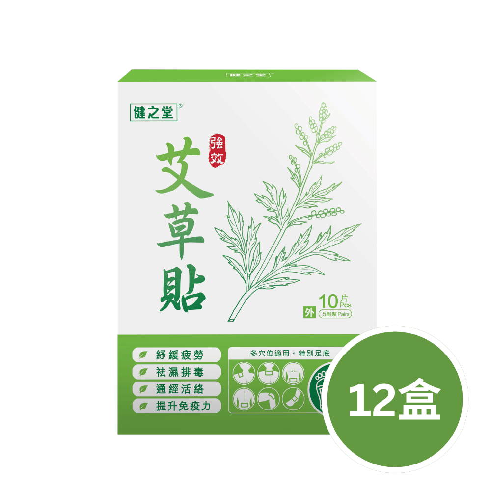 健之堂 強效艾草貼 10片裝12盒