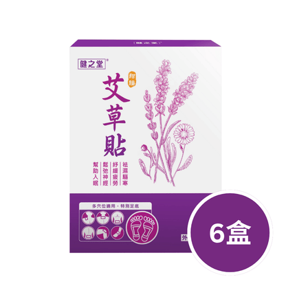 健之堂 甜睡艾草竹酢貼 10片裝6盒