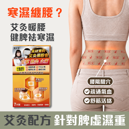 Healthall Graphene Wormwood Warm Relief Patch (7 Patches) For Dazhui Acupoint | Promotes Circulation | Aids Sleep & Detoxification