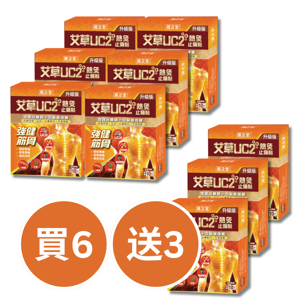 Healthall Mugwort UCII Thermal Pain Relief Patch 10 Patches
