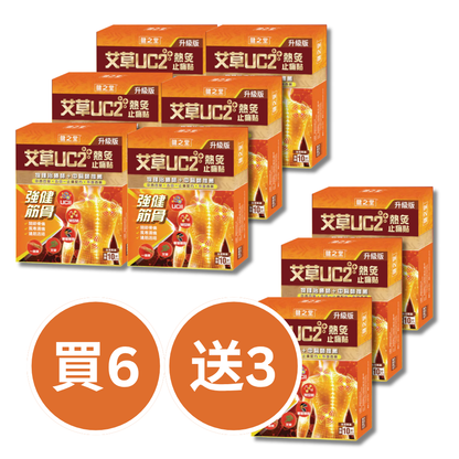 Healthall Mugwort UCII Thermal Pain Relief Patch 10 Patches
